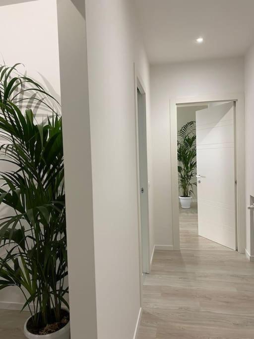 Romanapartments Mestre Ngoại thất bức ảnh
